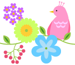 bird_s03